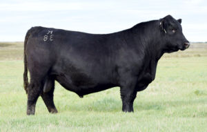 S Garrison k38 Picture